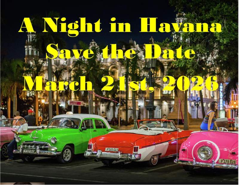 Havana Cars 04 14 25
