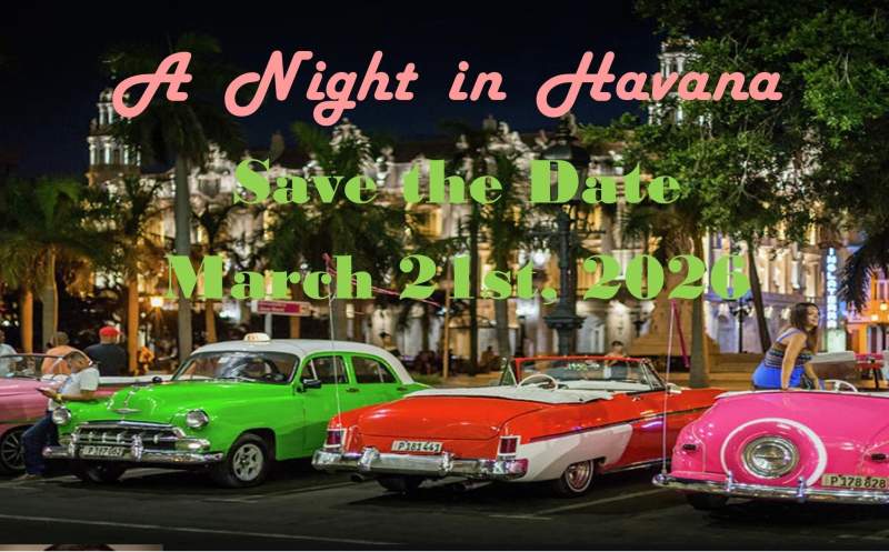 Havana Cars 06 20 25 edit